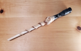 Wand #119